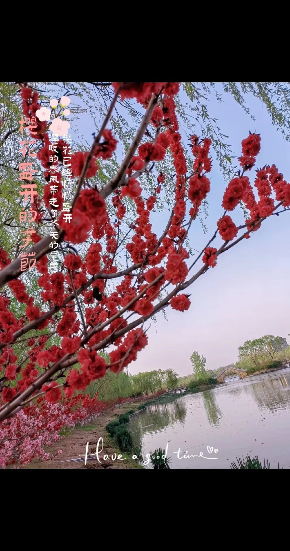 春季赏花好去处图片