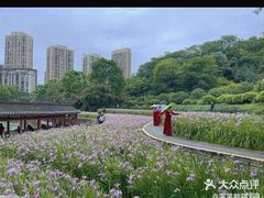 -龙头寺公园