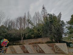 -上海滨江森林公园