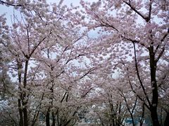 -龙美术馆(西岸馆)