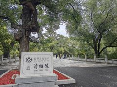 -北陵公园
