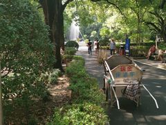 -上海交通大学医学院附属瑞金医院(总院)