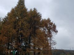 -金陵矩阵(聚宝山公园店)