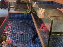 -7017浙菜•建德味(中财店)