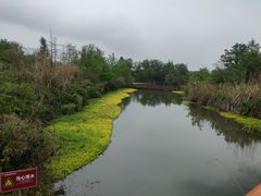 -桤木河湿地公园