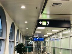 -厦门高崎国际机场-T3航站楼