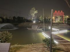 -大队长大灶鹅