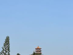 -深圳仙湖植物园
