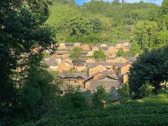 -杨家堂村