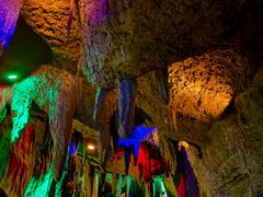 -乐山乌木文化博览苑