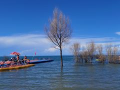 -青海湖国家重点风景名胜区