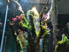 -泰悠谷养生SPA(世茂商业街店)