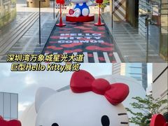 -深圳湾万象城(南山店)