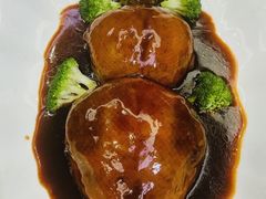 -丁老爷子苏香圆