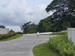 -阳台山森林公园