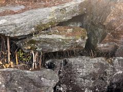 -庐山风景区花径公园