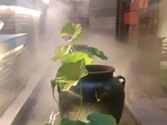 -花锦堂·隐庐