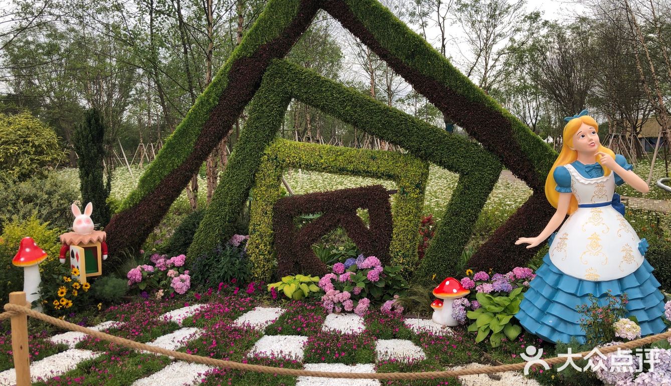 花开中国梦[加油][礼花][礼花][礼花]