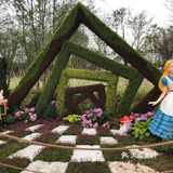 花开中国梦[加油][礼花][礼花][礼花]