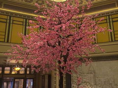 -上海和平饭店 Fairmont Peace Hotel