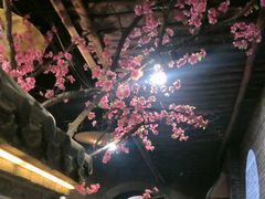 -淀里船宴(卓达店)