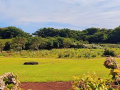 -济州森林小火车生态公园