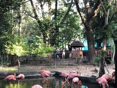 -清迈夜间动物园