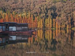 -三水森林公园