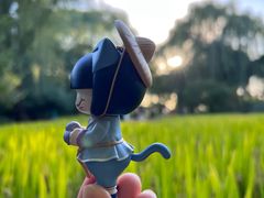 -海淀公园