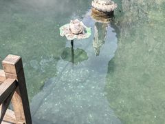 -雁荡山风景名胜区-小龙湫