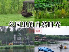 -长春市南湖公园