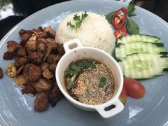-Fern Forest Cafe