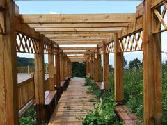 -白草畔自然风景区