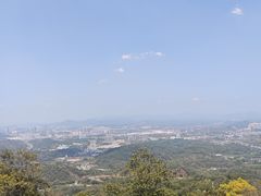 -黄埔油麻山森林公园