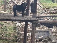 -石家庄市动物园