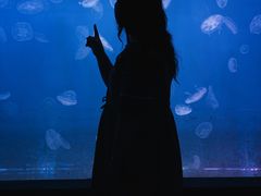 -左海海底世界