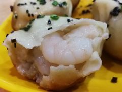 -小杨生煎(黄河路店)