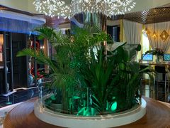 -润园四季椰子鸡火锅(海上世界店)
