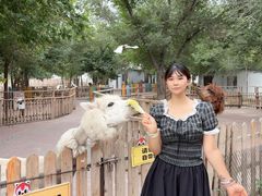 -水上乐园·欢乐世界