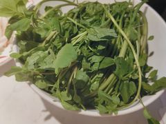 潮汕西洋菜-汕头八合里海记牛肉店(清河店)