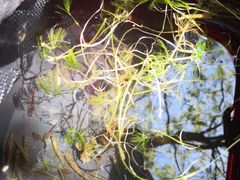 -碓臼峪自然风景区