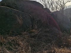 -白水寺森林公园