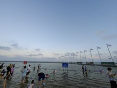 -碧海金沙