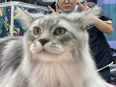 -FAELING PETS美天灵宠物(富力广场店)