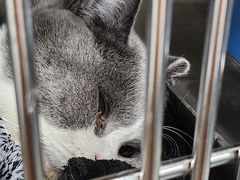 -贝利宠物医院·骨科·眼科·肿瘤转诊中心(南坪诊疗中心)