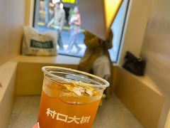拜拜-村口大树(长乐路店)