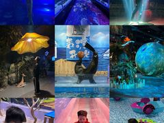 -顺德南宏海立方海洋公园