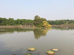 -大湾区中央湿地公园