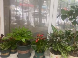 -北京美痣堂古方祛痣斑疣瘊