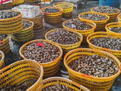 -海峡水产品交易中心(海鲜交易区)